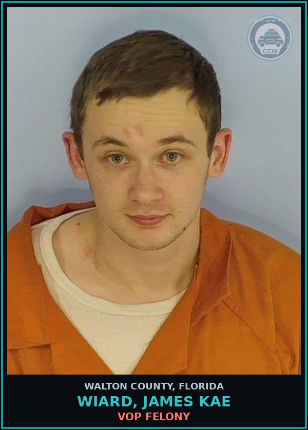 Booking mugshot of WIARD, JAMES KAE in Walton County