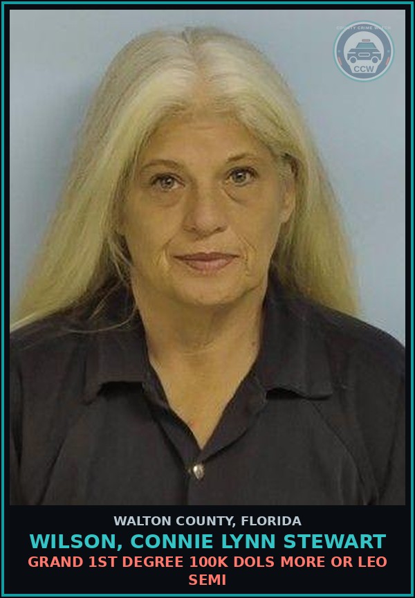 Booking mugshot of WILSON, CONNIE LYNN STEWART in Walton County