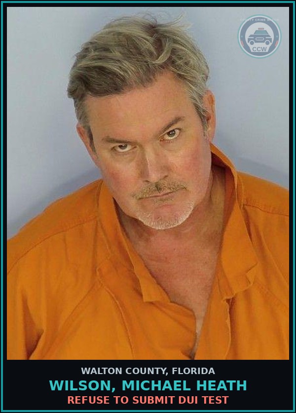 Booking mugshot of WILSON, MICHAEL HEATH in Walton County