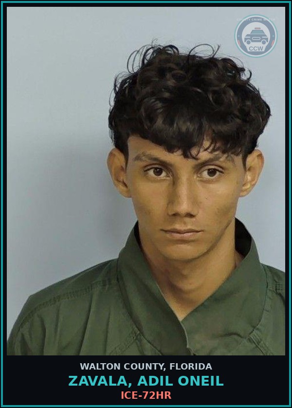 Booking mugshot of ZAVALA, ADIL ONEIL in Walton County