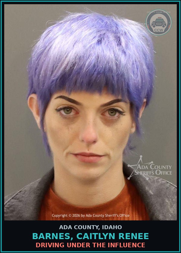 Booking mugshot of Barnes, Caitlyn Renee in Ada County
