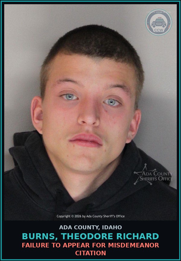 Booking mugshot of Burns, Theodore Richard in Ada County