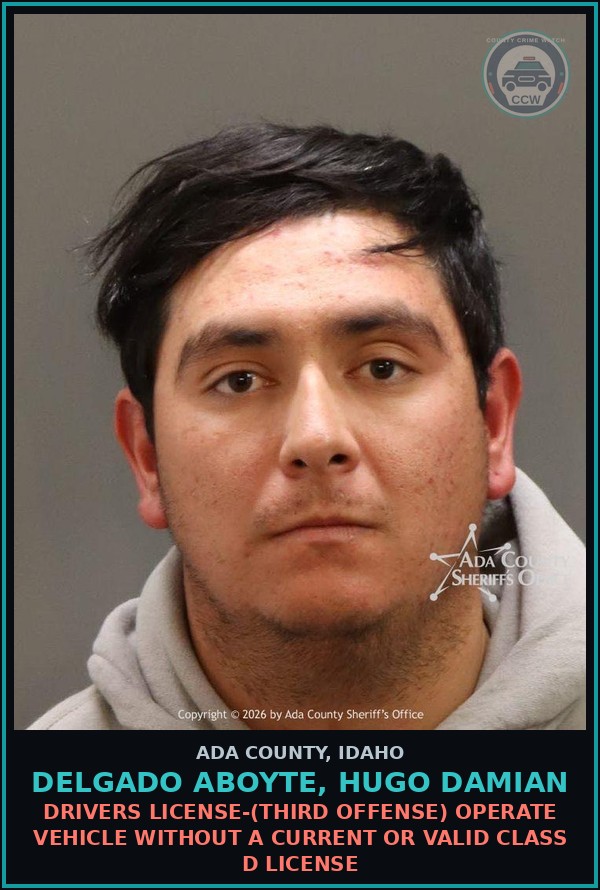 Booking mugshot of Delgado aboyte, Hugo Damian in Ada County