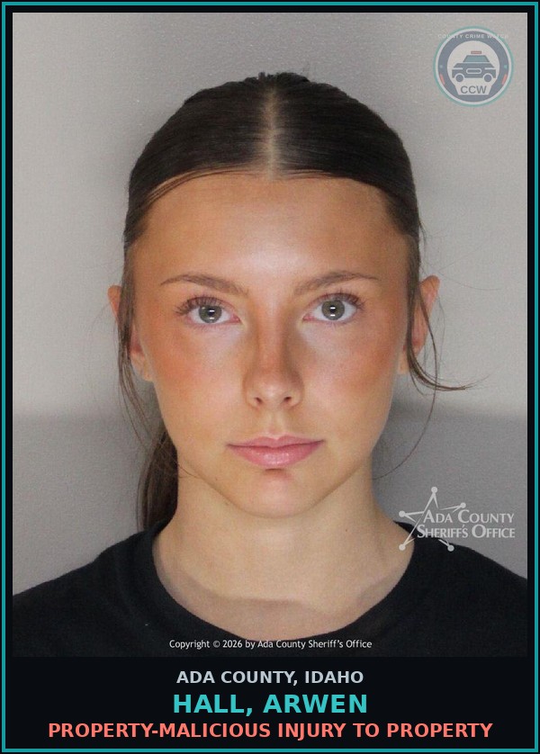 Booking mugshot of Hall, Arwen in Ada County