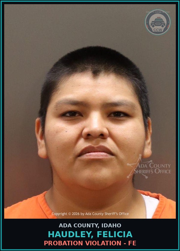 Booking mugshot of Haudley, Felicia in Ada County