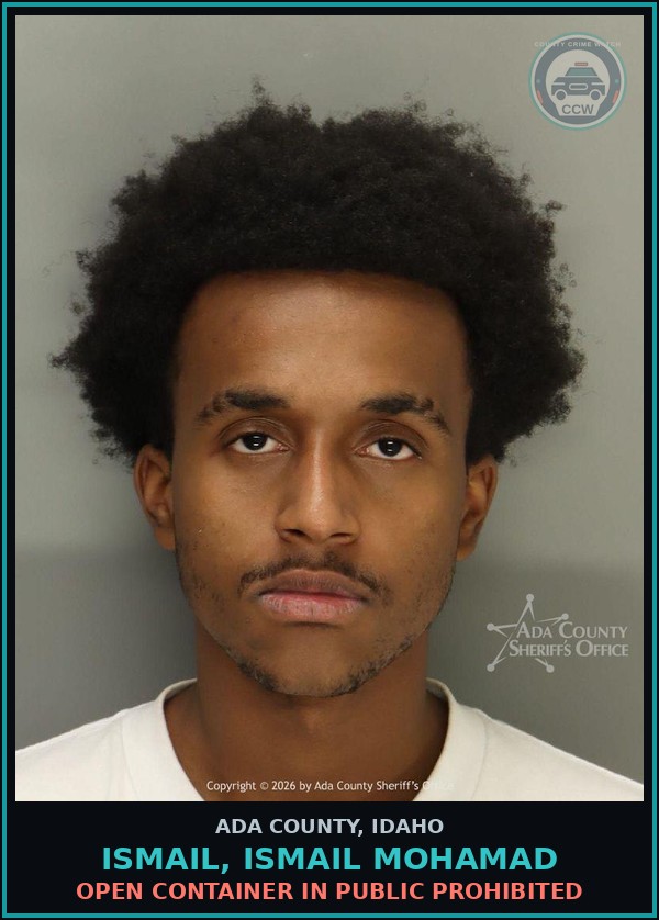 Booking mugshot of Ismail, Ismail Mohamad in Ada County
