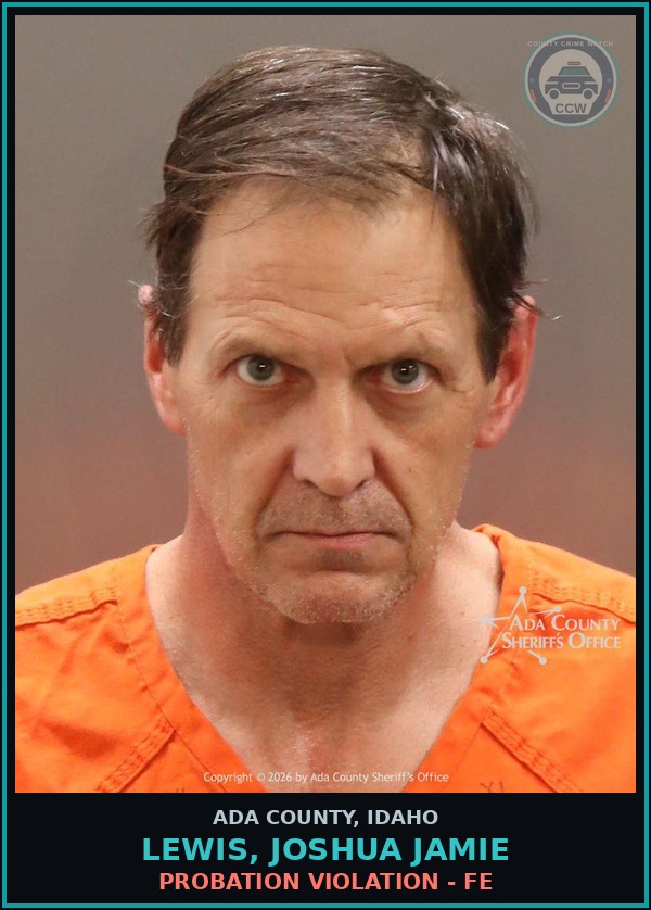 Booking mugshot of Lewis, Joshua Jamie in Ada County