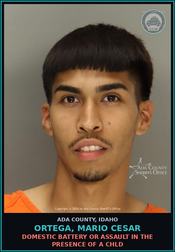 Booking mugshot of Ortega, Mario Cesar in Ada County
