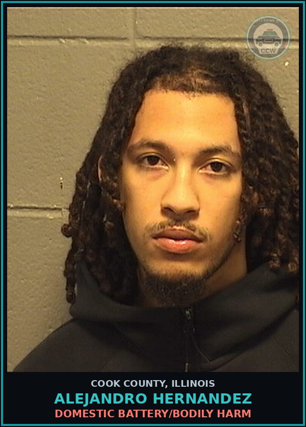 Booking mugshot of ALEJANDRO HERNANDEZ in Cook County