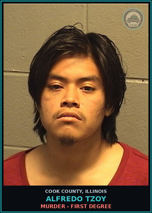Booking mugshot of ALFREDO TZOY in Cook County