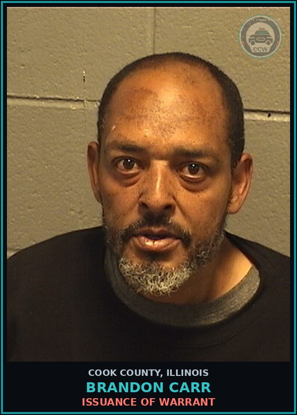Booking mugshot of Brandon Carr in Cook County