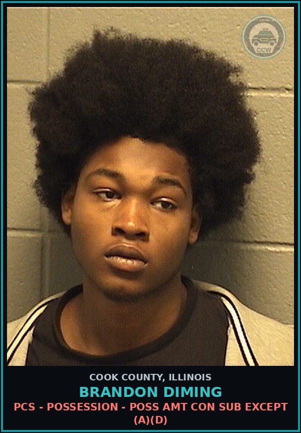 Booking mugshot of BRANDON DIMING in Cook County