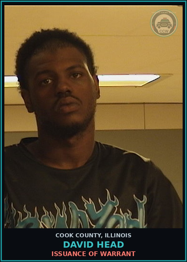 Booking mugshot of DAVID HEAD in Cook County