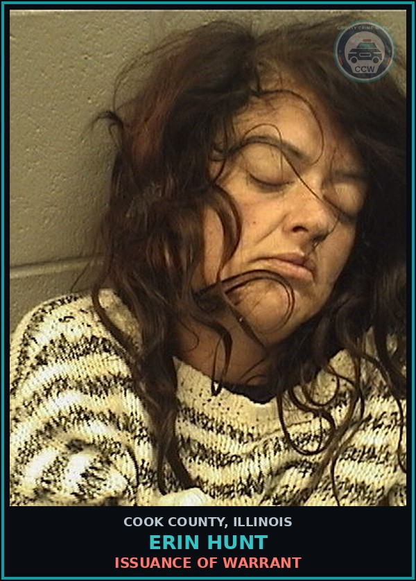 Booking mugshot of Erin Hunt in Cook County