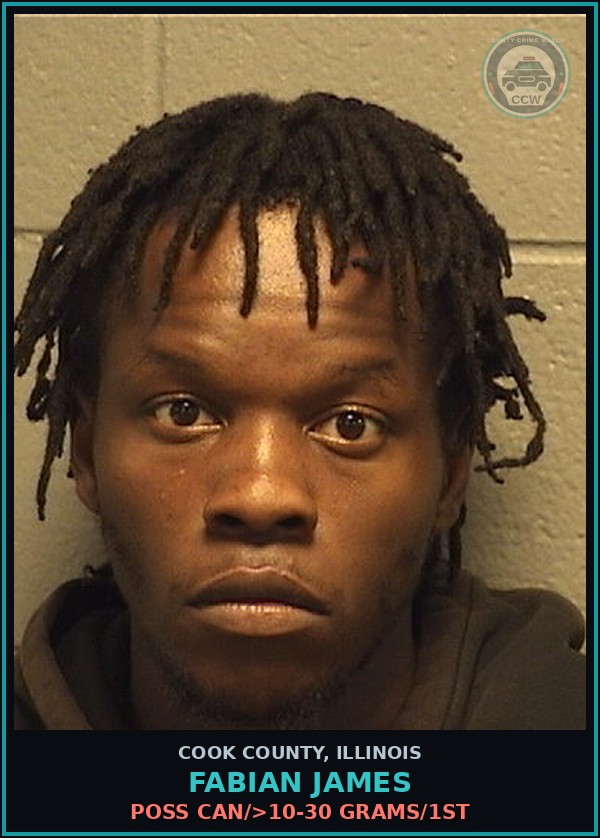 Booking mugshot of FABIAN JAMES in Cook County