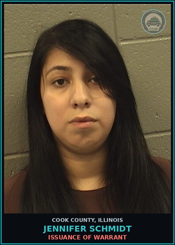 Booking mugshot of JENNIFER SCHMIDT in Cook County