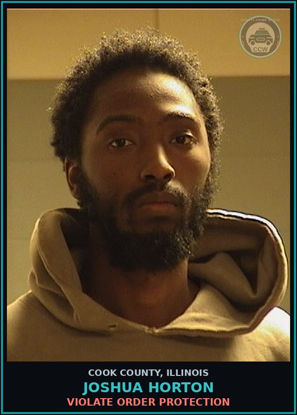 Booking mugshot of Joshua Horton in Cook County