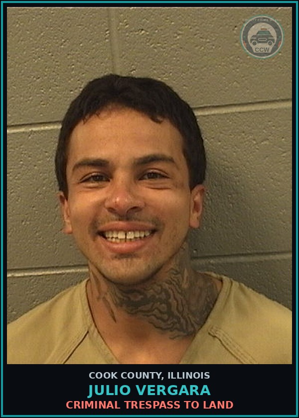 Booking mugshot of Julio Vergara in Cook County