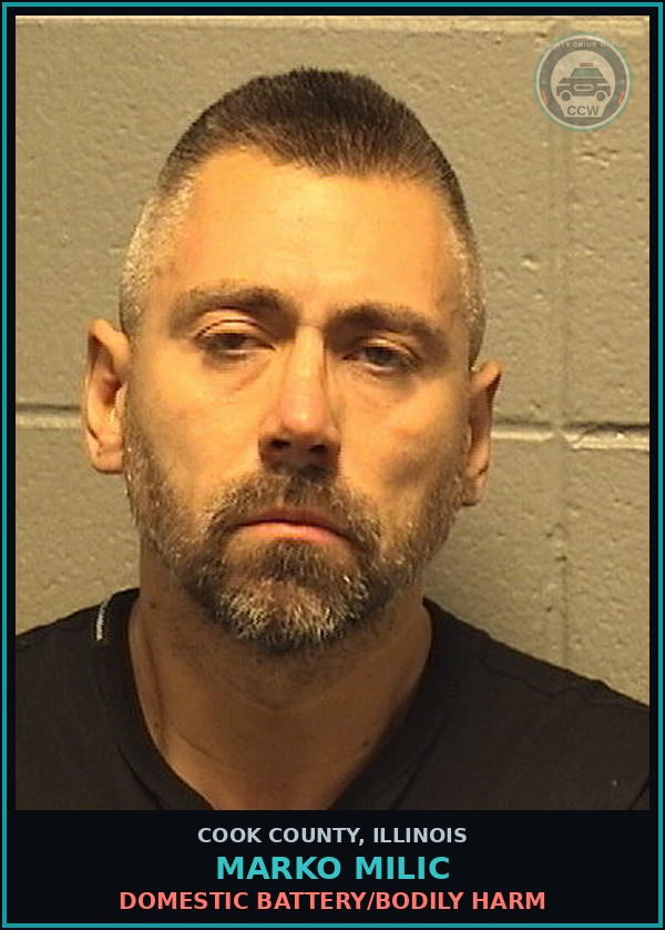Booking mugshot of MARKO MILIC in Cook County