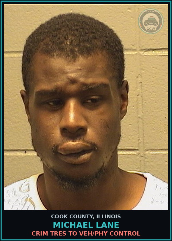 Booking mugshot of MICHAEL LANE in Cook County