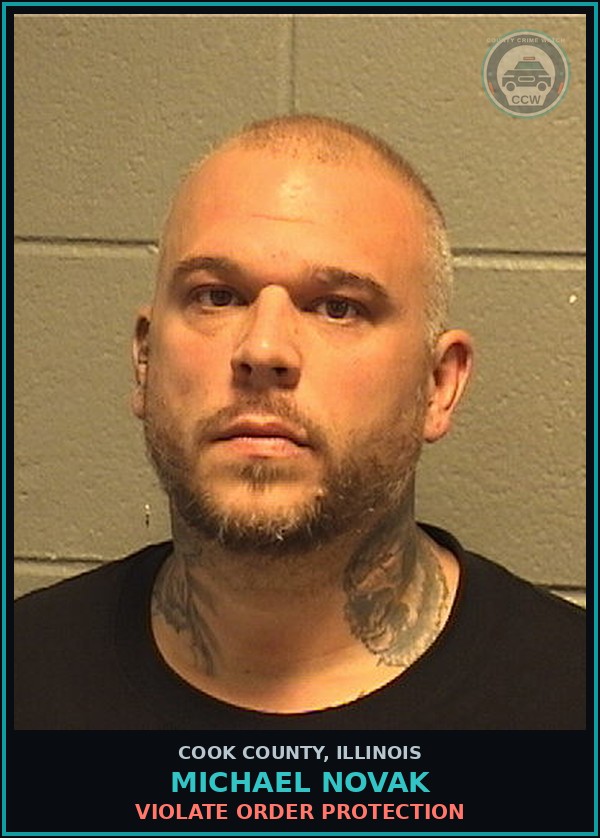 Booking mugshot of Michael Novak in Cook County