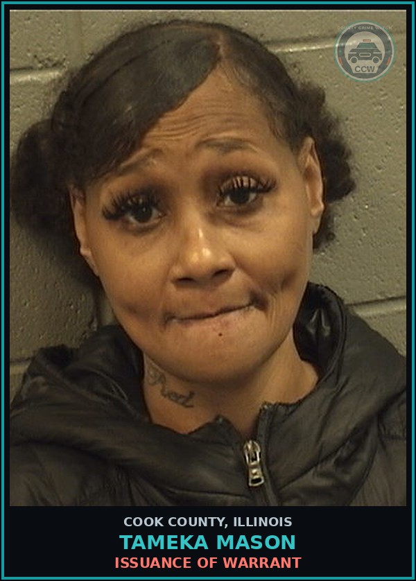 Booking mugshot of Tameka Mason in Cook County