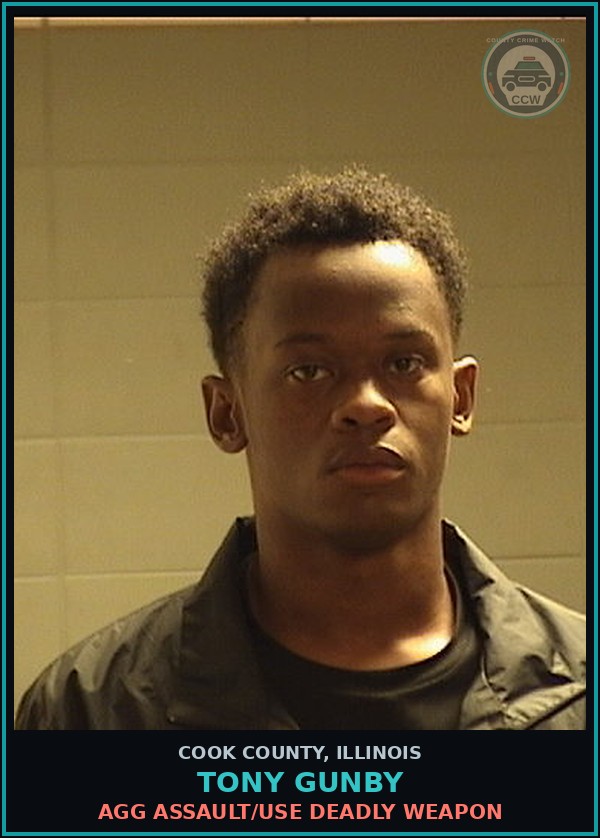 Booking mugshot of Tony Gunby in Cook County