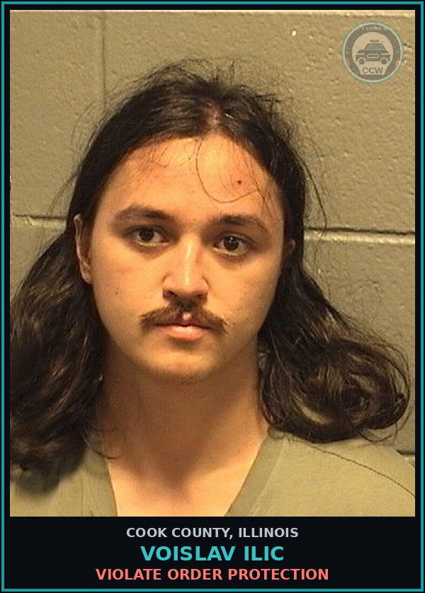 Booking mugshot of Voislav Ilic in Cook County