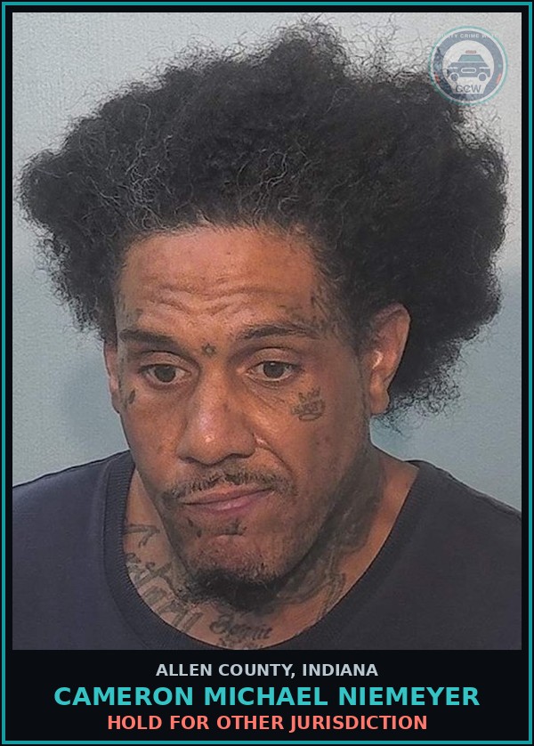 Booking mugshot of Cameron Michael Niemeyer in Allen County