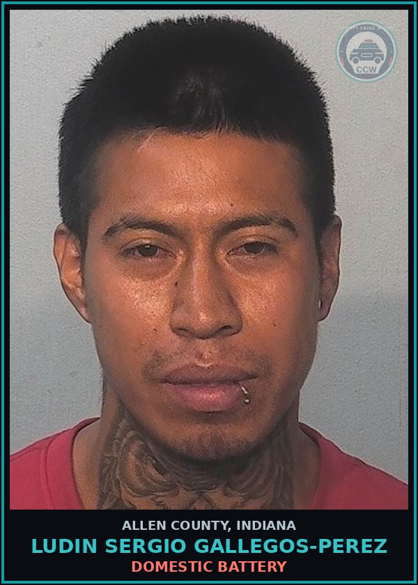 Booking mugshot of Ludin Sergio Gallegos-Perez in Allen County