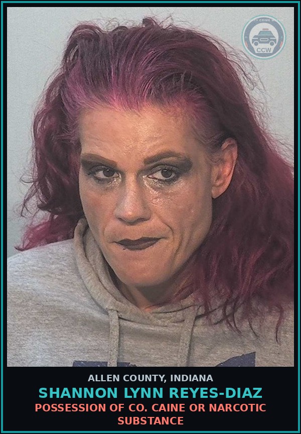 Booking mugshot of Shannon Lynn Reyes-Diaz in Allen County
