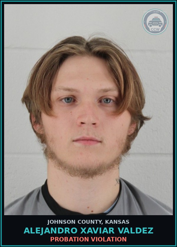 Booking mugshot of ALEJANDRO XAVIAR VALDEZ in Johnson County