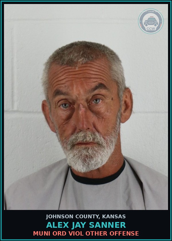 Booking mugshot of ALEX JAY SANNER in Johnson County