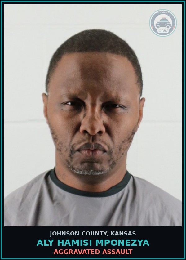 Booking mugshot of ALY HAMISI MPONEZYA in Johnson County