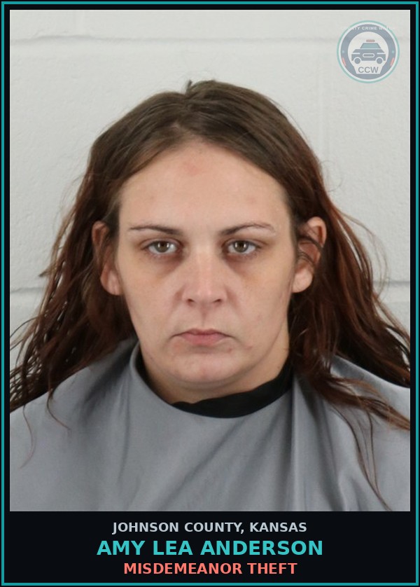 Booking mugshot of AMY LEA ANDERSON in Johnson County
