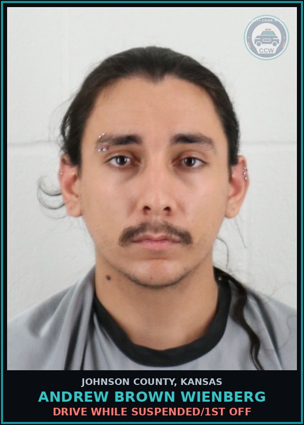 Booking mugshot of ANDREW BROWN WIENBERG in Johnson County
