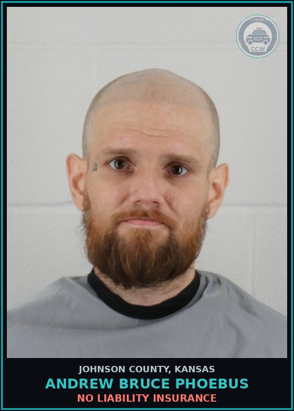 Booking mugshot of ANDREW BRUCE PHOEBUS in Johnson County