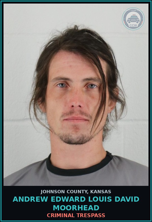 Booking mugshot of ANDREW EDWARD LOUIS DAVID MOORHEAD in Johnson County