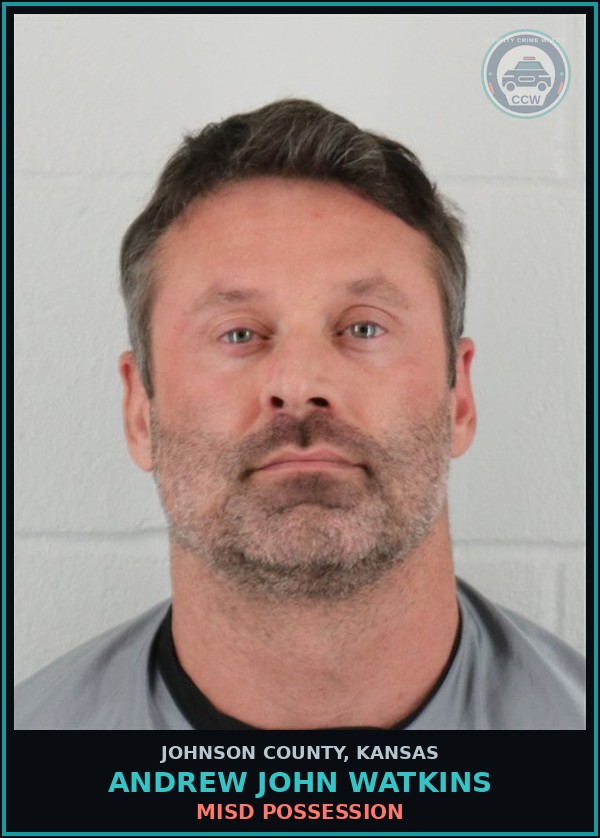 Booking mugshot of ANDREW JOHN WATKINS in Johnson County
