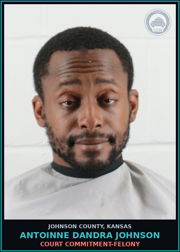 Booking mugshot of ANTOINNE DANDRA JOHNSON in Johnson County