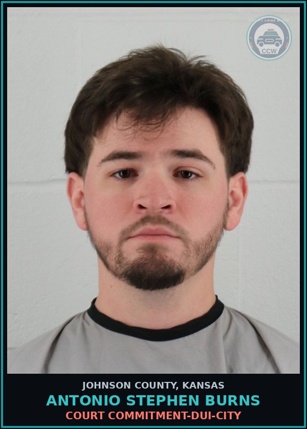 Booking mugshot of ANTONIO STEPHEN BURNS in Johnson County