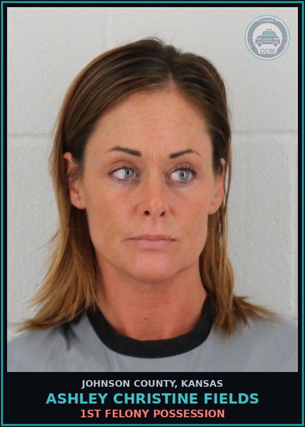 Booking mugshot of ASHLEY CHRISTINE FIELDS in Johnson County