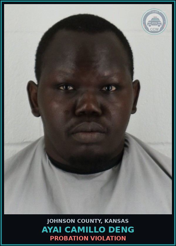 Booking mugshot of AYAI CAMILLO DENG in Johnson County