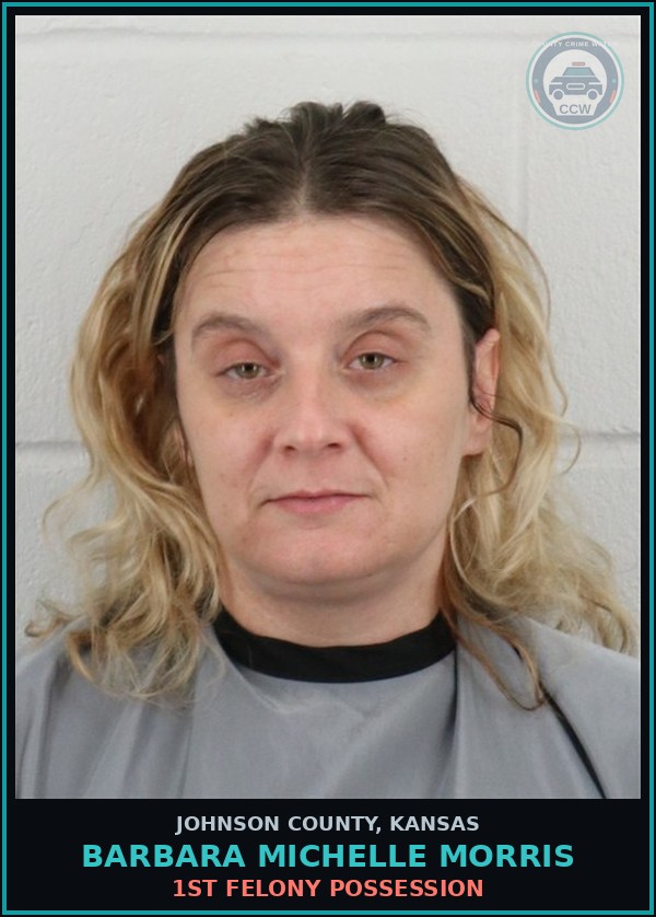 Booking mugshot of BARBARA MICHELLE MORRIS in Johnson County