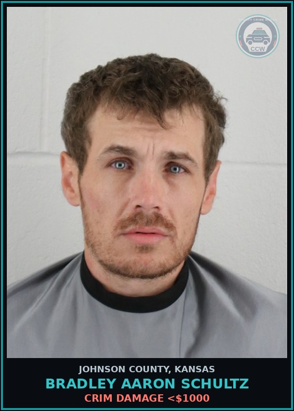 Booking mugshot of BRADLEY AARON SCHULTZ in Johnson County