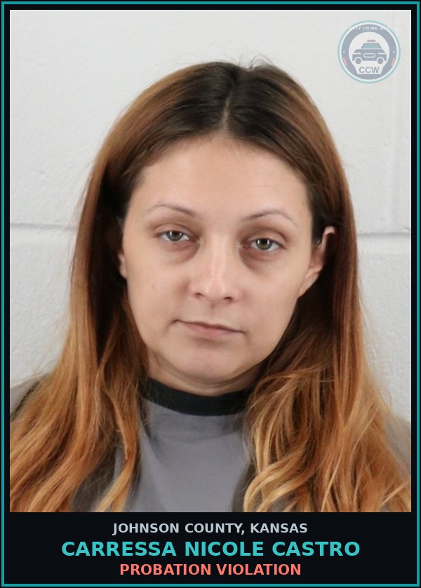 Booking mugshot of CARRESSA NICOLE CASTRO in Johnson County