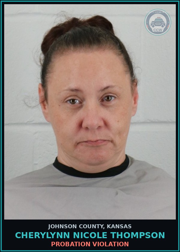 Booking mugshot of CHERYLYNN NICOLE THOMPSON in Johnson County