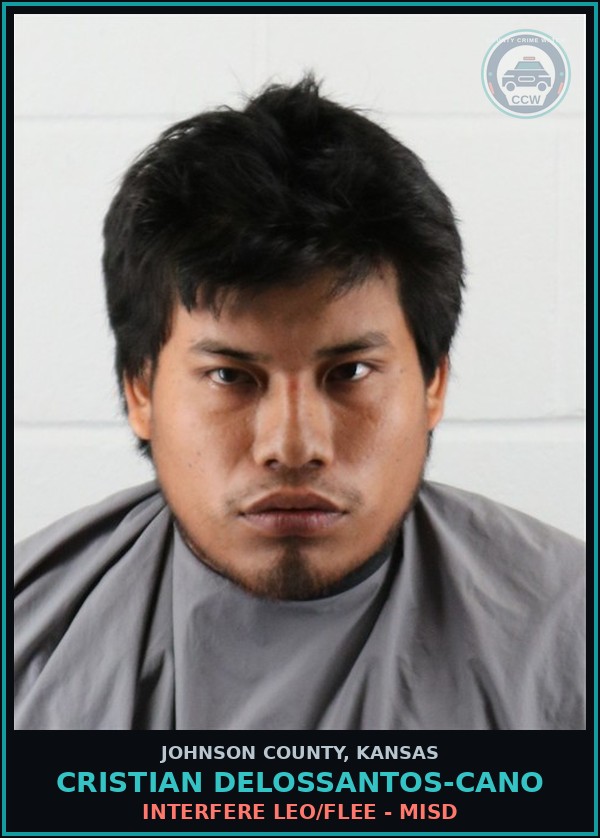 Booking mugshot of CRISTIAN DELOSSANTOS-CANO in Johnson County
