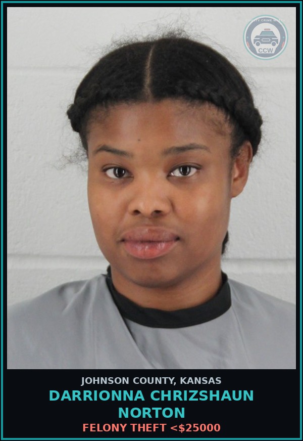 Booking mugshot of DARRIONNA CHRIZSHAUN NORTON in Johnson County