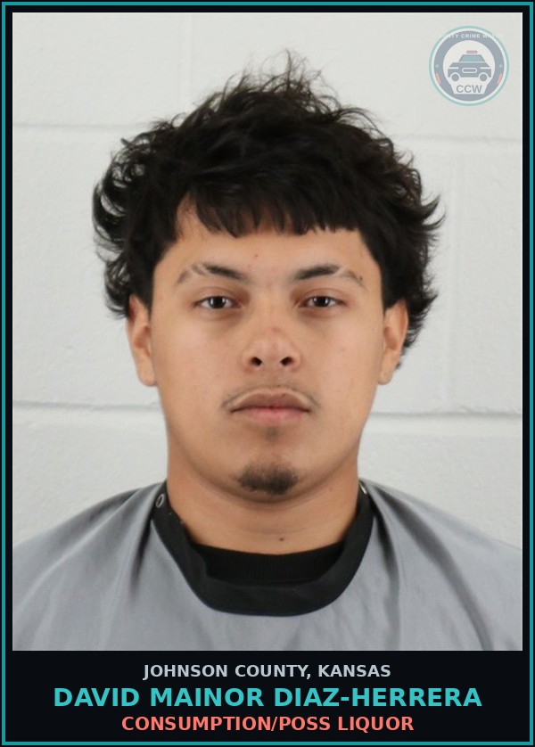 Booking mugshot of DAVID MAINOR DIAZ-HERRERA in Johnson County